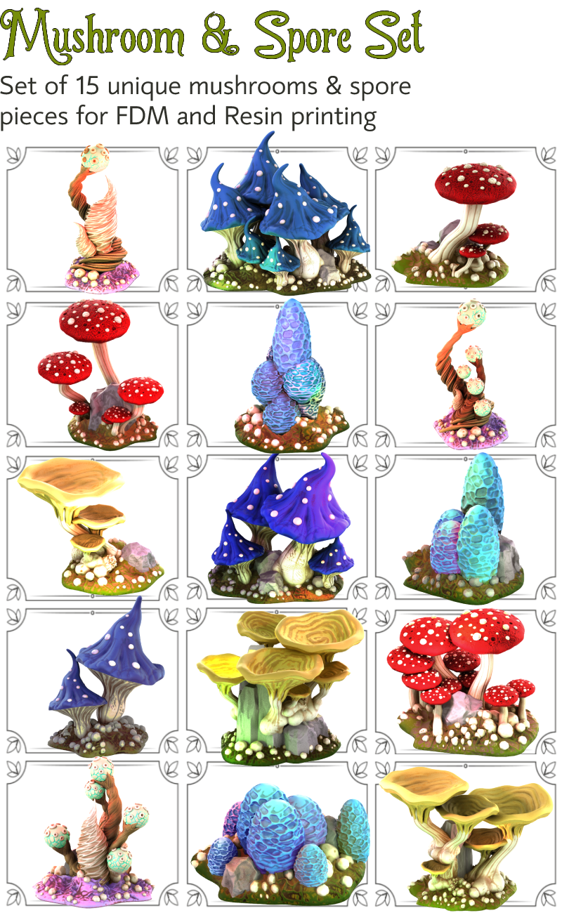 Mushroom & Spore Set