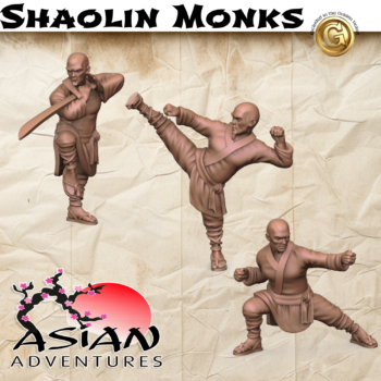 Shaolin Monk Set